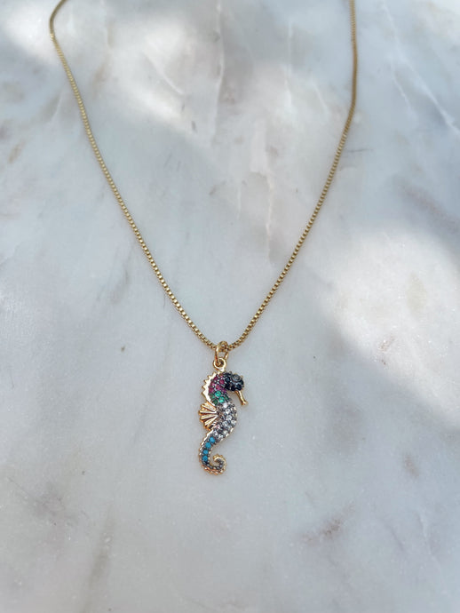 pave seahorse