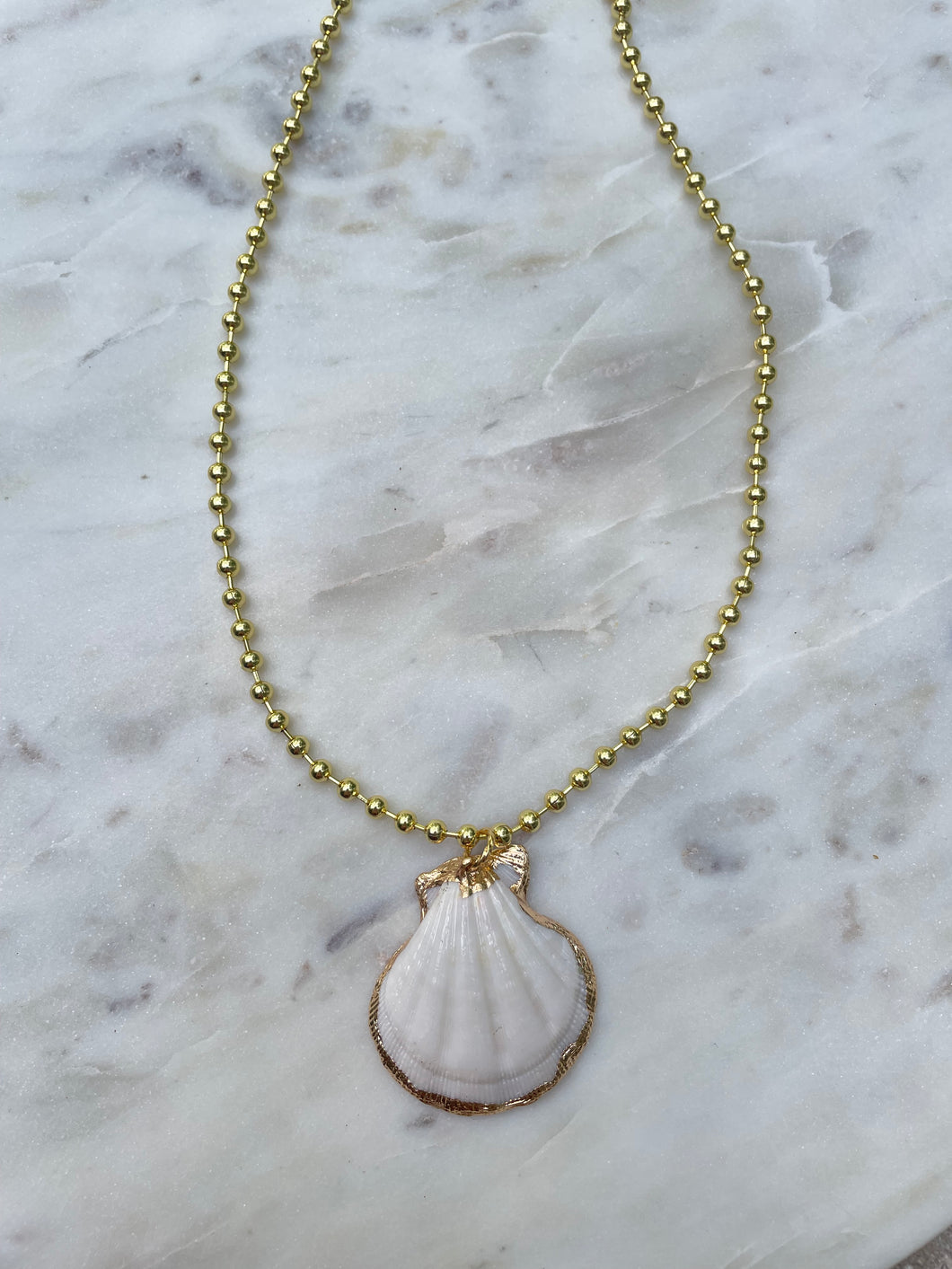 summer shell